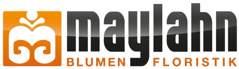 Sportwagen Vermietung